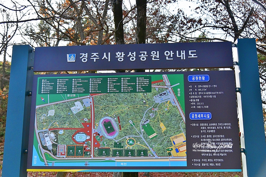 경주 가볼만한곳 경북 경주 산림환경연구원 황리단길먹거리 황성공원