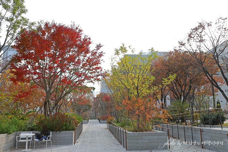 서울 광화문 광장 볼거리 데이트 장소 서울 광화문 가볼만한곳