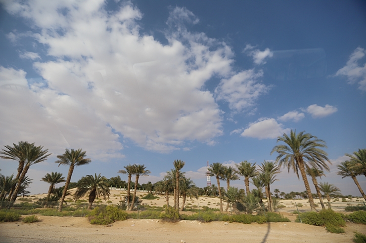 세계여행 : 두바이 사막투어 렌트카 여행 모래에 빠진 일화