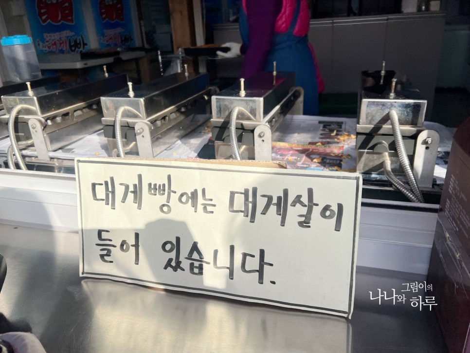 경북 울진 여행 가볼만한곳 죽변스카이레일, 국립해양과학관