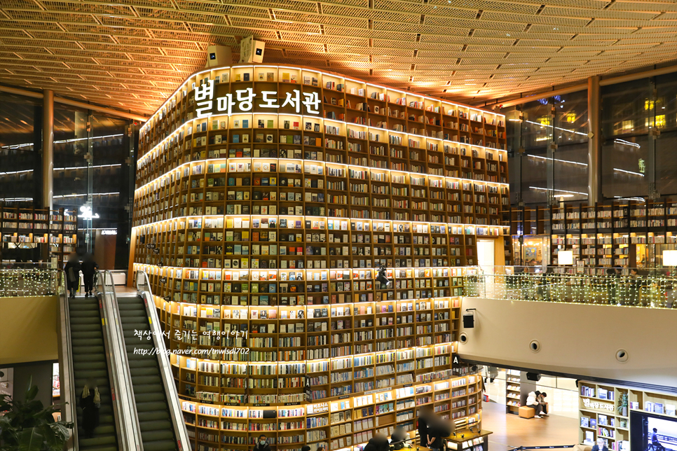 서울 강남 가볼만한곳 코엑스 별마당도서관 현대백화점 무역센터점 크리스마스 트리