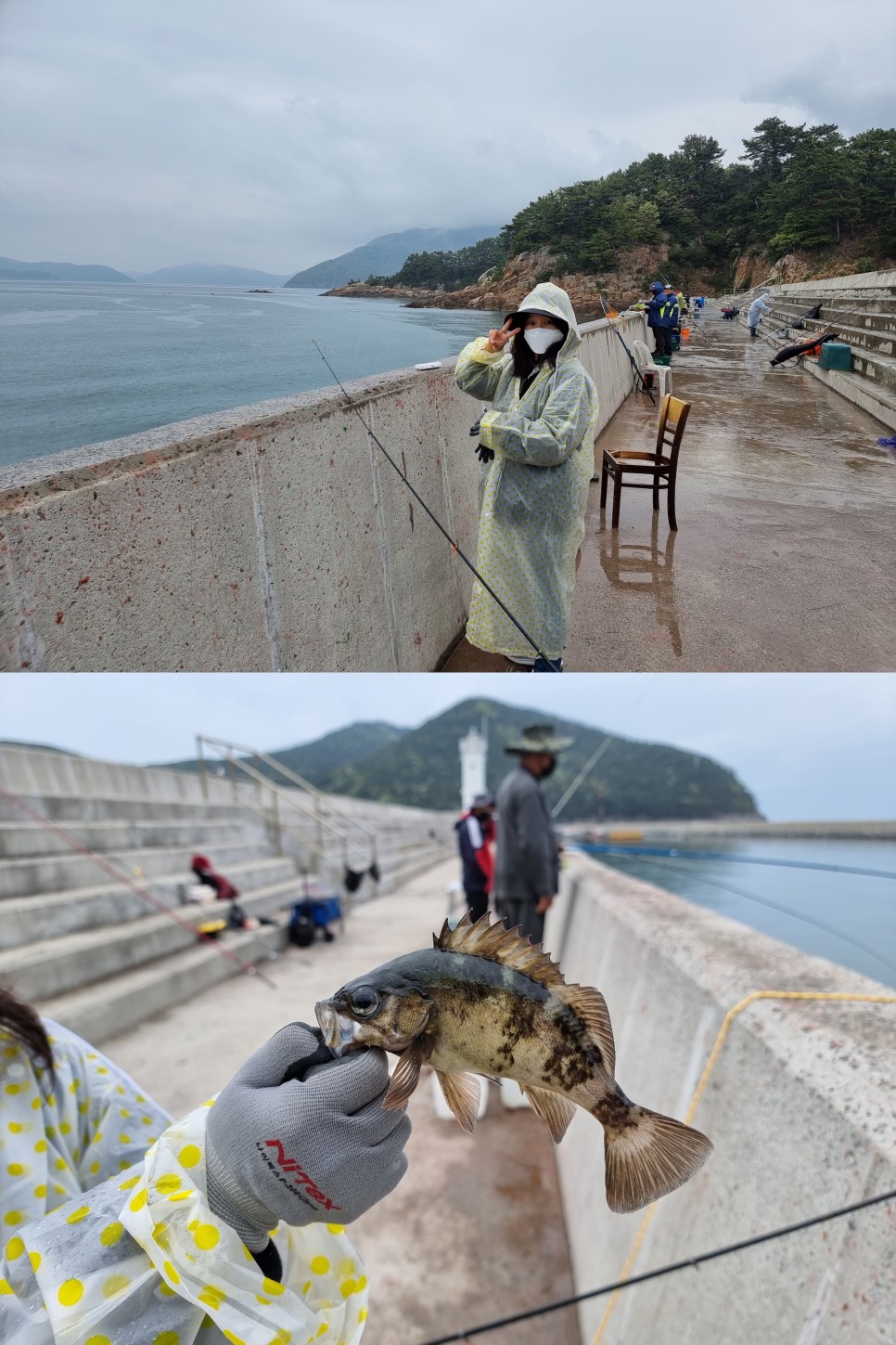 거제도 가볼만한곳 거제 동굴 근포마을 땅굴, 차박 낚시 포인트 대포근포항