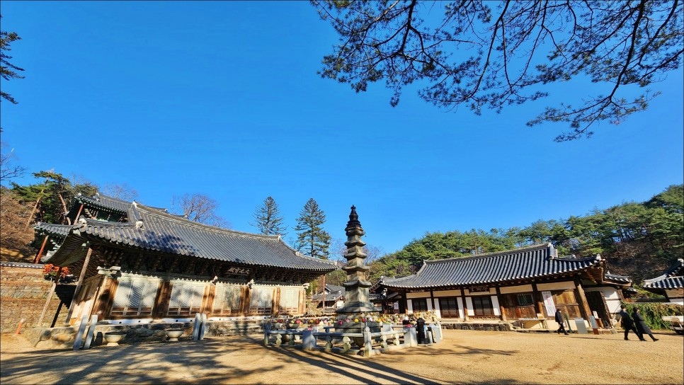 충남 공주 여행 관광지 당일치기 공주 가볼만한곳 볼거리 먹거리!