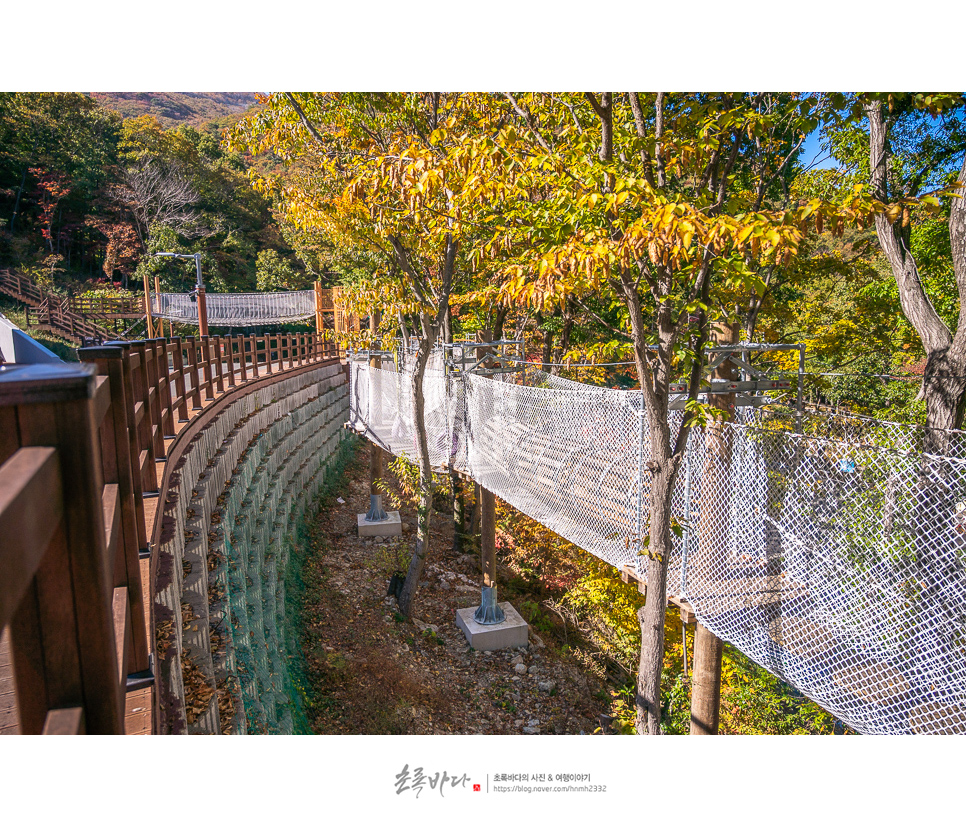 거제도 아이와 가볼만한곳 거제 자연 휴양림 국내 조용한 여행지