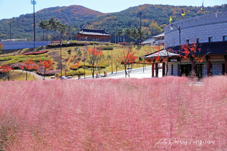 경주 여행지 화랑마을 핑크뮬리, 체험관 경주 가족여행 추천