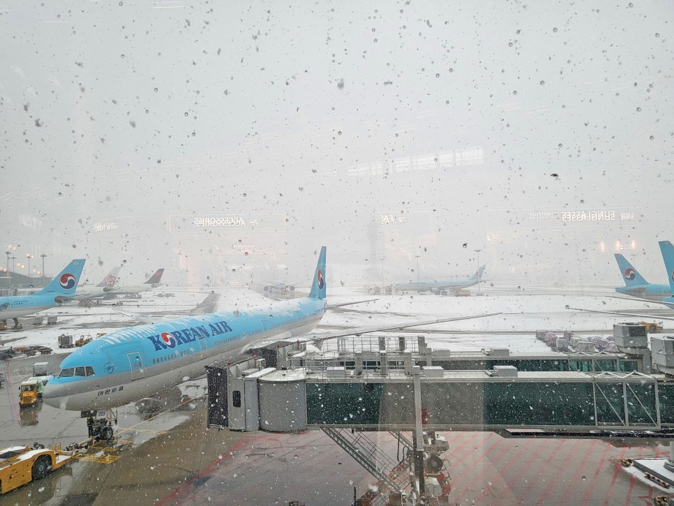 미국여행 요즘 공항 빨리 가야함 아멕스 센츄리온 라운지+29시간째 노숙중!