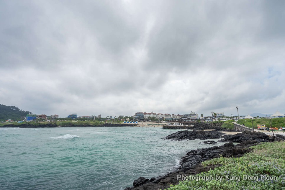 1월 제주도 가볼만한곳 제주도 여행 제주시 관광지 제주 숨은 명소 볼거리