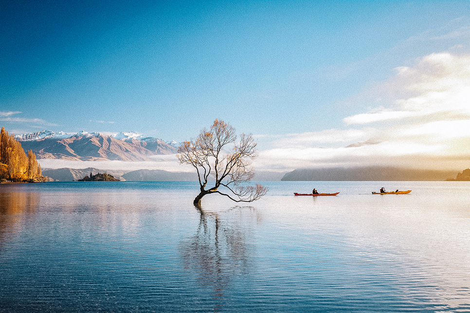 한여름의 크리스마스 여행    뉴질랜드 관광청 이벤트