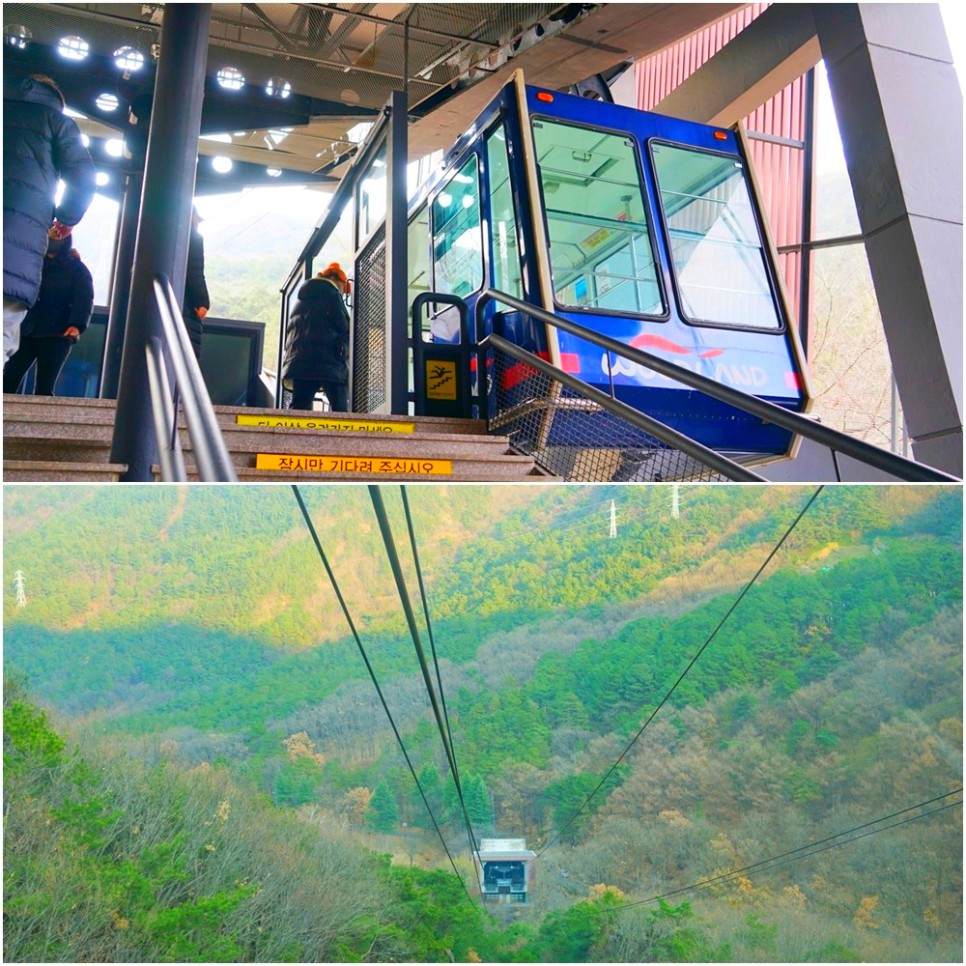 겨울 대구 가볼만한곳 안지랑 곱창 막창 골목 앞산 전망대 케이블카