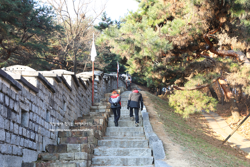 수원 팔달산 산책 수원화성 둘레길, 성곽길 탐방 팔달문에서 서장대까지