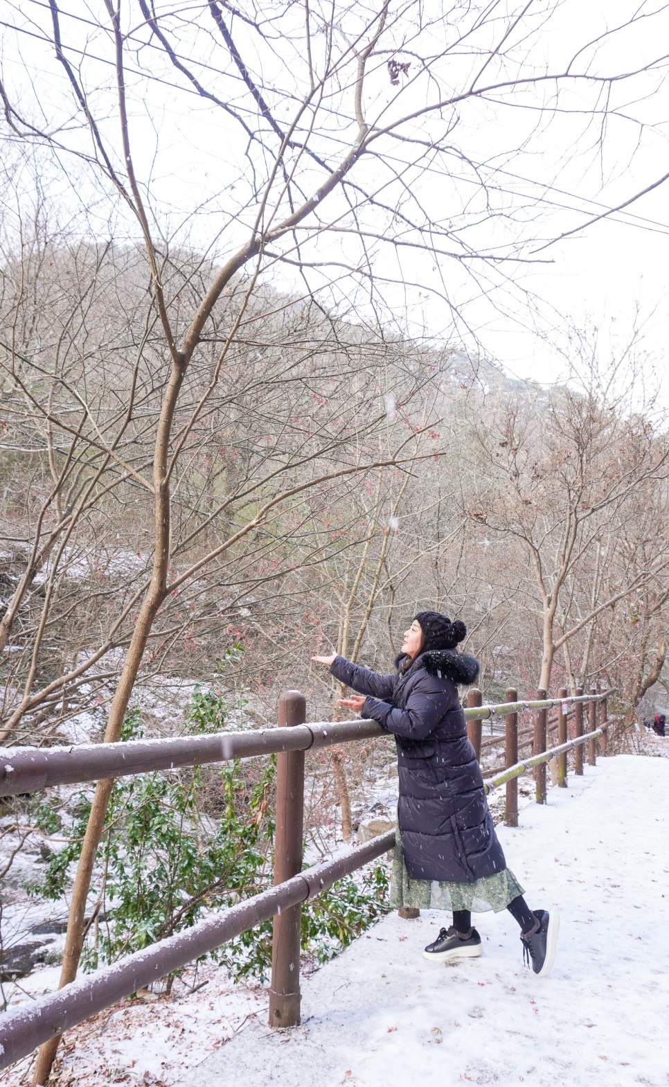 전라도 광주여행 무등산 국립공원 증심사 지산유원지 무등산 모노레일 전망대 등 광주가볼만한곳