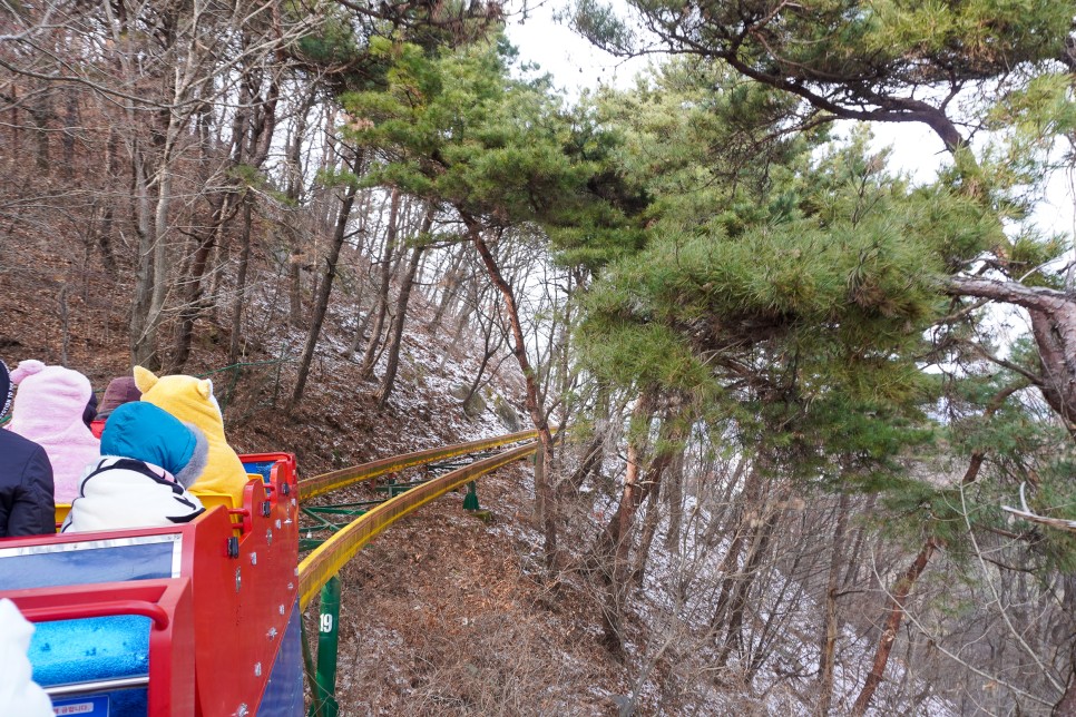 전라도 광주여행 무등산 국립공원 증심사 지산유원지 무등산 모노레일 전망대 등 광주가볼만한곳