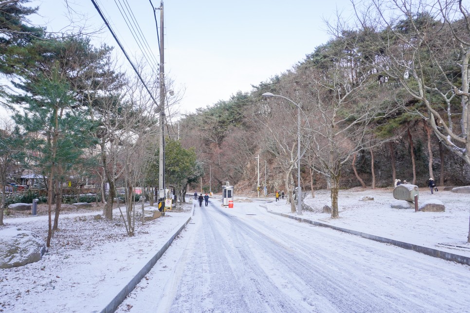 전라도 광주여행 무등산 국립공원 증심사 지산유원지 무등산 모노레일 전망대 등 광주가볼만한곳