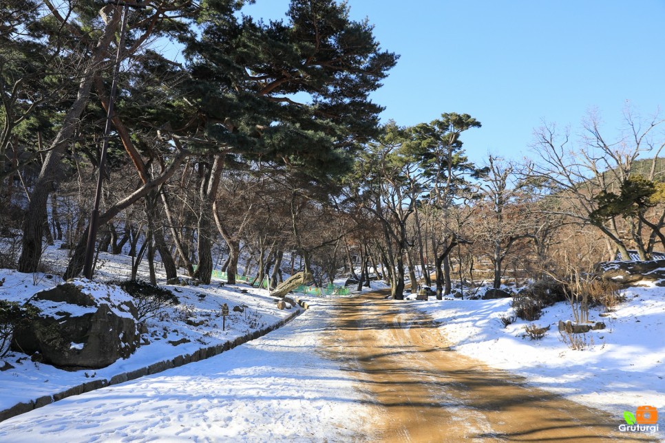 인천 강화도 가볼만한곳 인천 핫플 놀거리 인천 드라이브코스