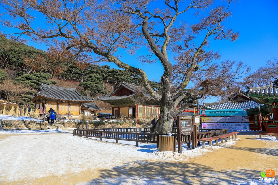 인천 강화도 가볼만한곳 인천 핫플 놀거리 인천 드라이브코스