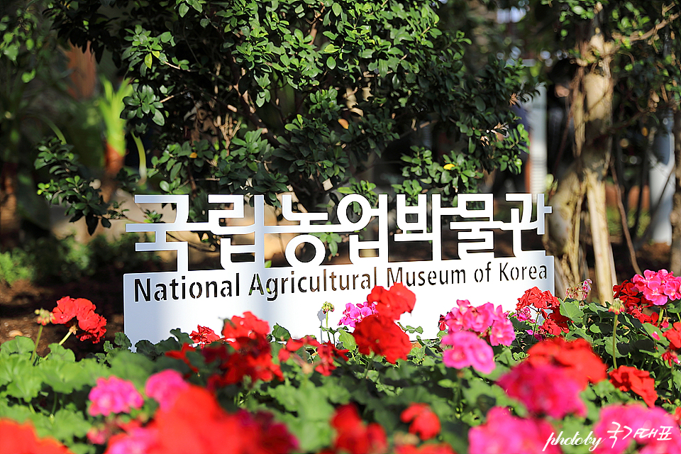 서울근교 당일치기 여행 수원 실내데이트 핫플 국립농업박물관