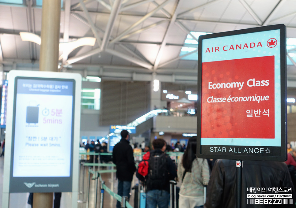 캐나다·미국여행 에어캐나다 이용 꿀팁! 수화물, 기내식, 토론토공항 면세점, 기념품