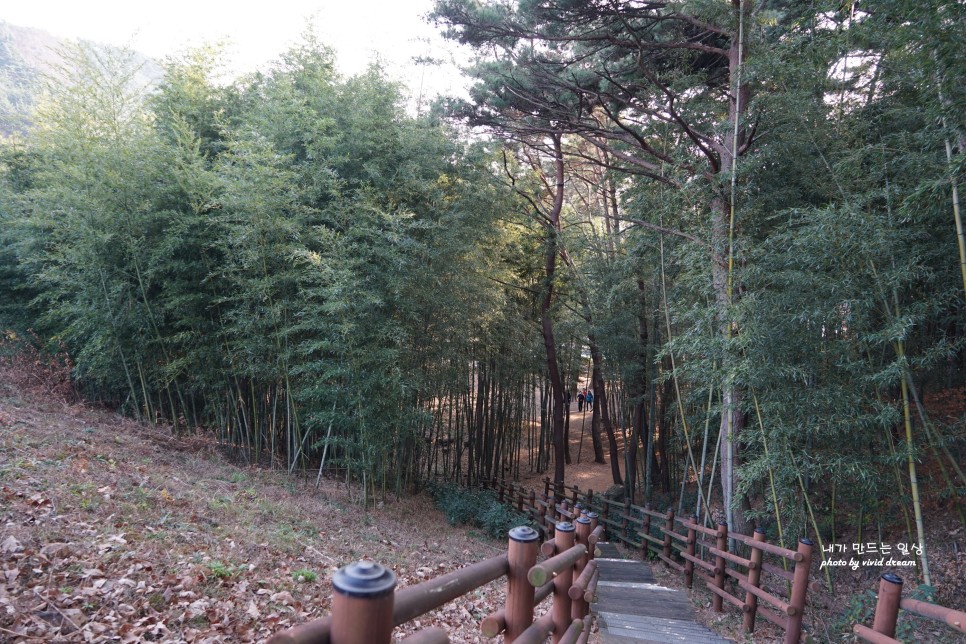 서천여행 가볼만한곳 판교역 판교특화음식촌 서천 치유의숲