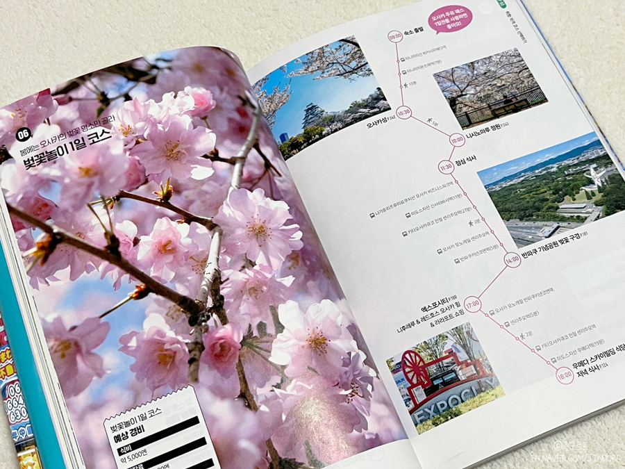일본여행 준비물 추천 리얼 오사카 주유패스 교통패스 교토 고베 나라 가이드북!