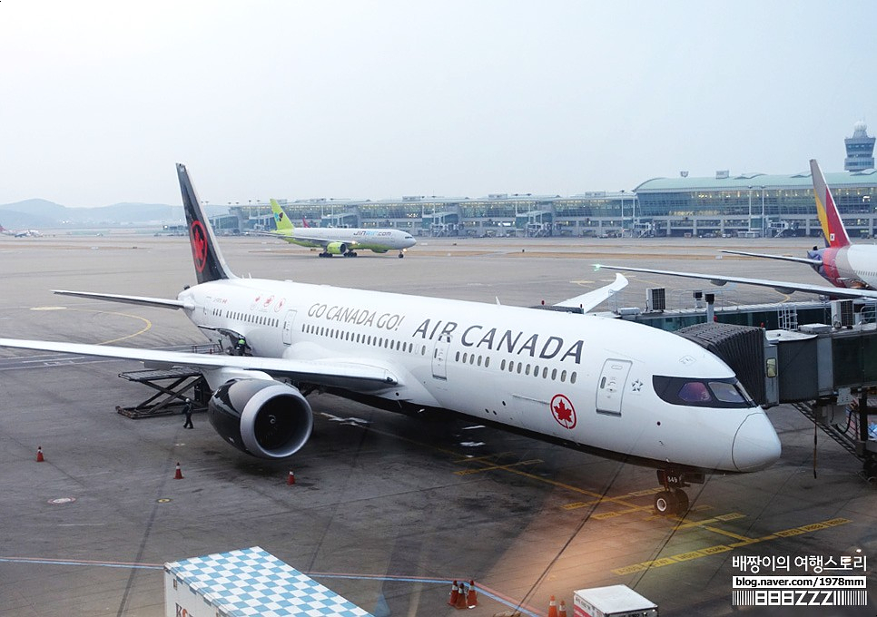 캐나다·미국여행 에어캐나다 이용 꿀팁! 수화물, 기내식, 토론토공항 면세점, 기념품