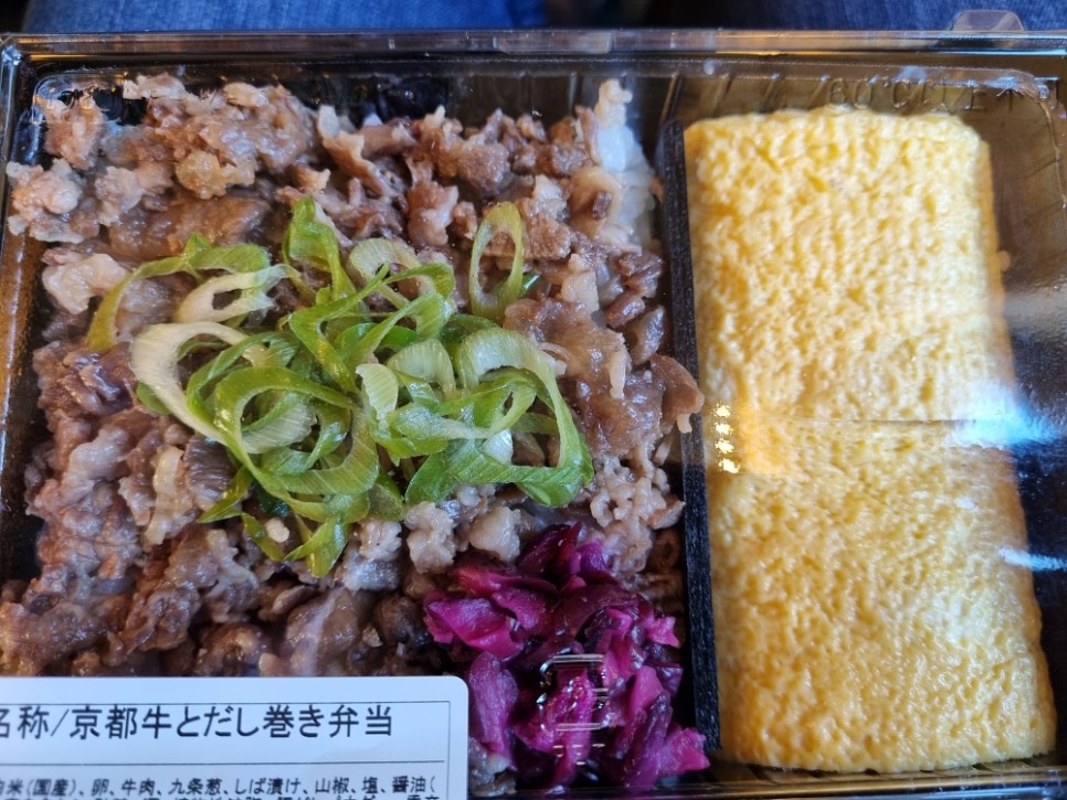일본 여행 JR패스 1등석으로 신칸센 타고 일본 자유여행 다녀온 후기