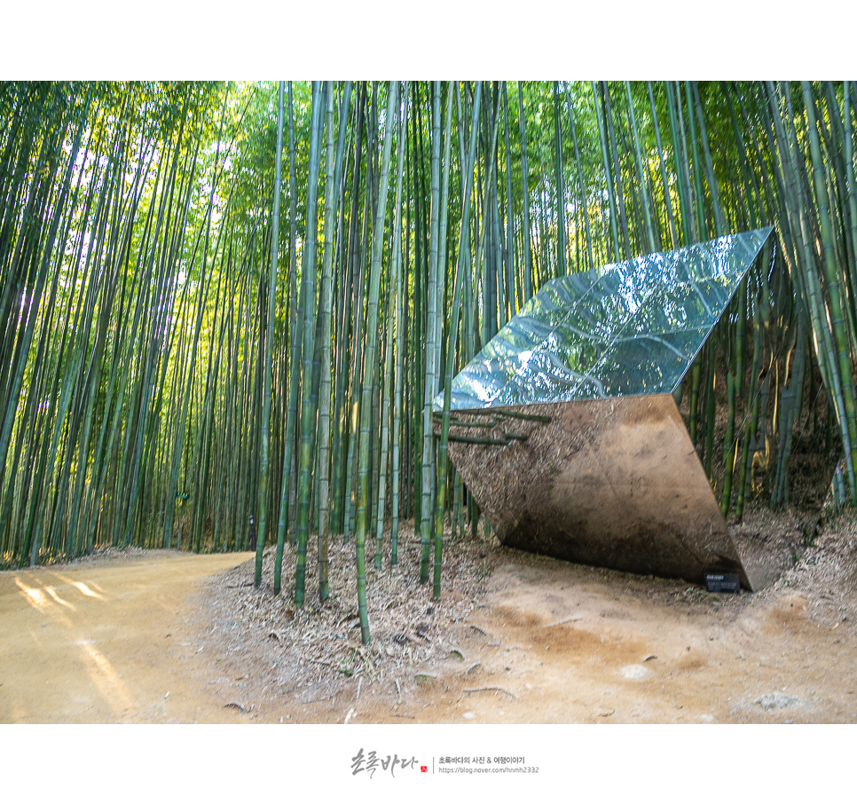 전남 여행 담양 죽녹원 대나무숲 담양 드라이브