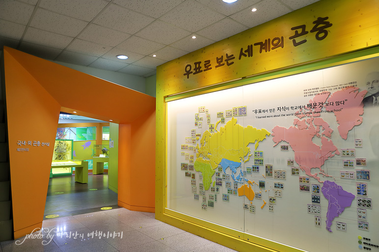 서울근교 여행 양평 곤충박물관 아이들과 경기도 실내 가볼만한곳