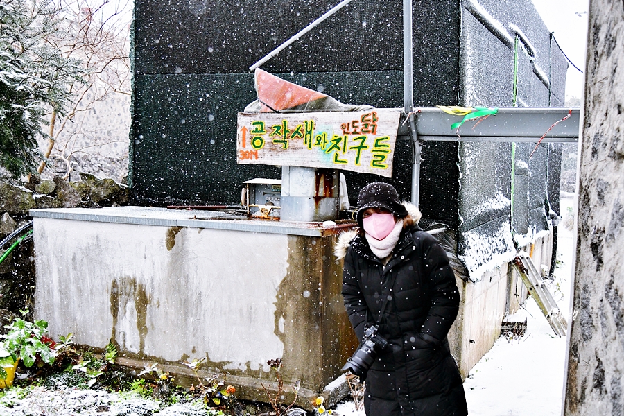 서귀포 카페 제주 레몬뮤지엄 사진찍기 좋은곳