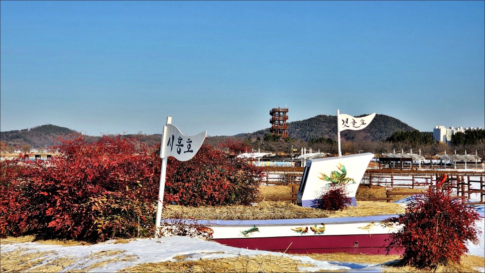 서울근교 갈만한곳 눈 내린 월곶포구 물왕저수지 겨울 데이트코스!