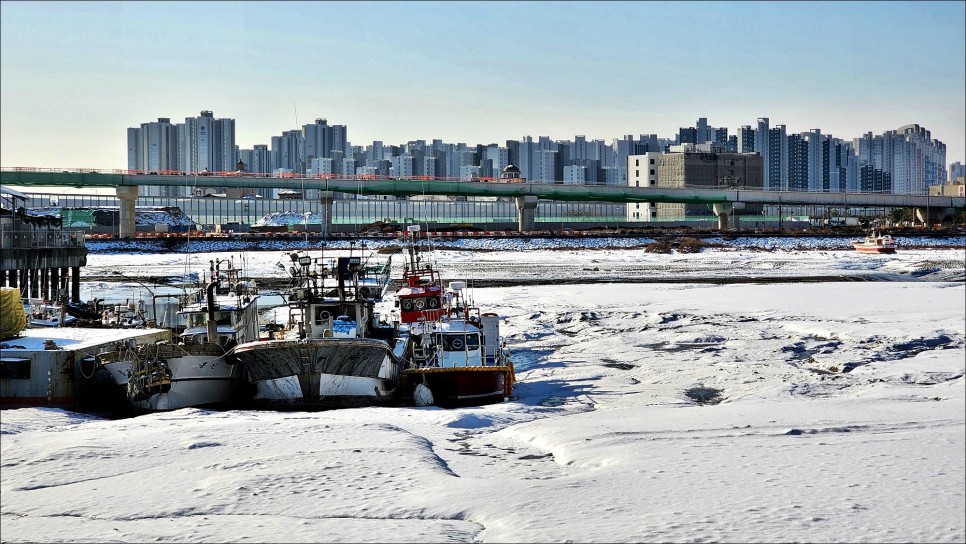 서울근교 갈만한곳 눈 내린 월곶포구 물왕저수지 겨울 데이트코스!