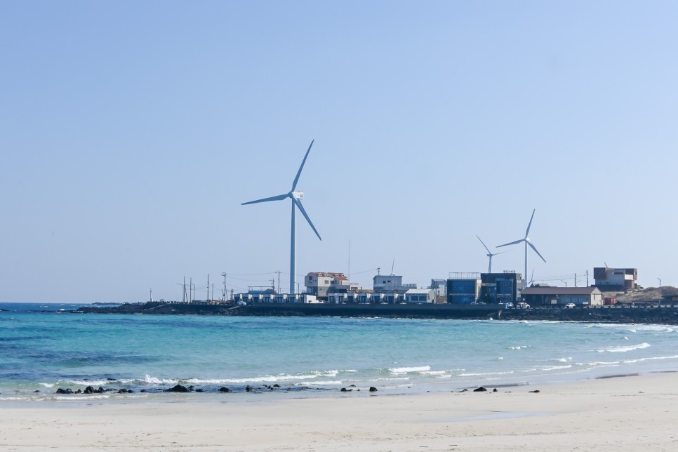 제주도 구좌읍 명소 월정리해변 외 제주 구좌 가볼만한곳