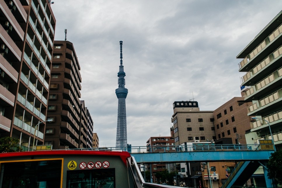 일본 여행 도쿄 전망대 스카이트리 자유여행 추천 가볼만한곳