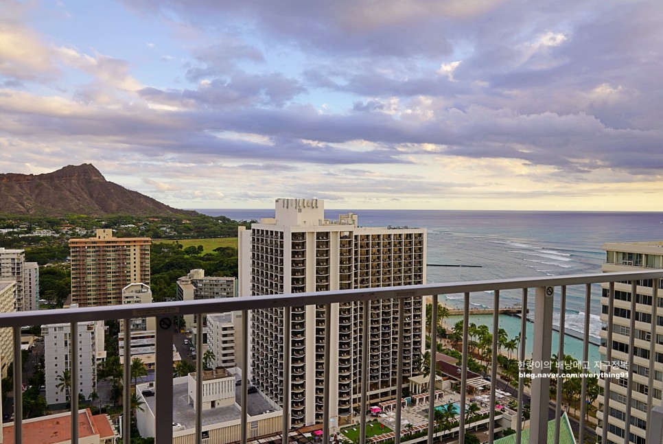 하와이 신혼여행 호텔 와이키키 알로힐라니 리조트 핫플 숙소
