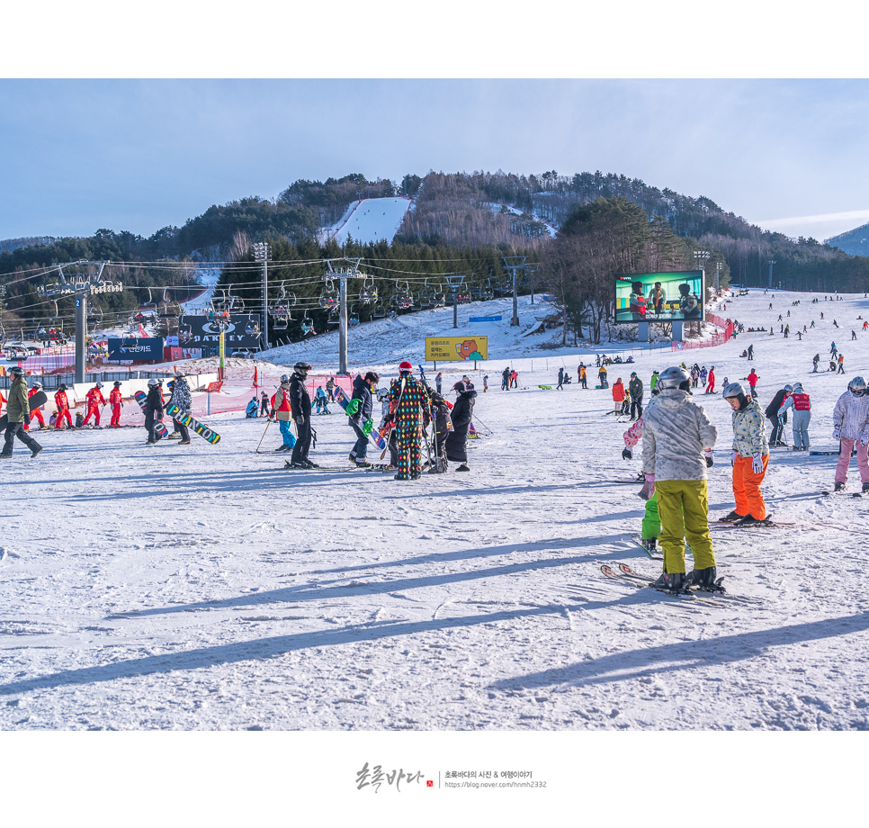 용평 리조트 렌탈샵 신상 대량 입고 스키장 go~