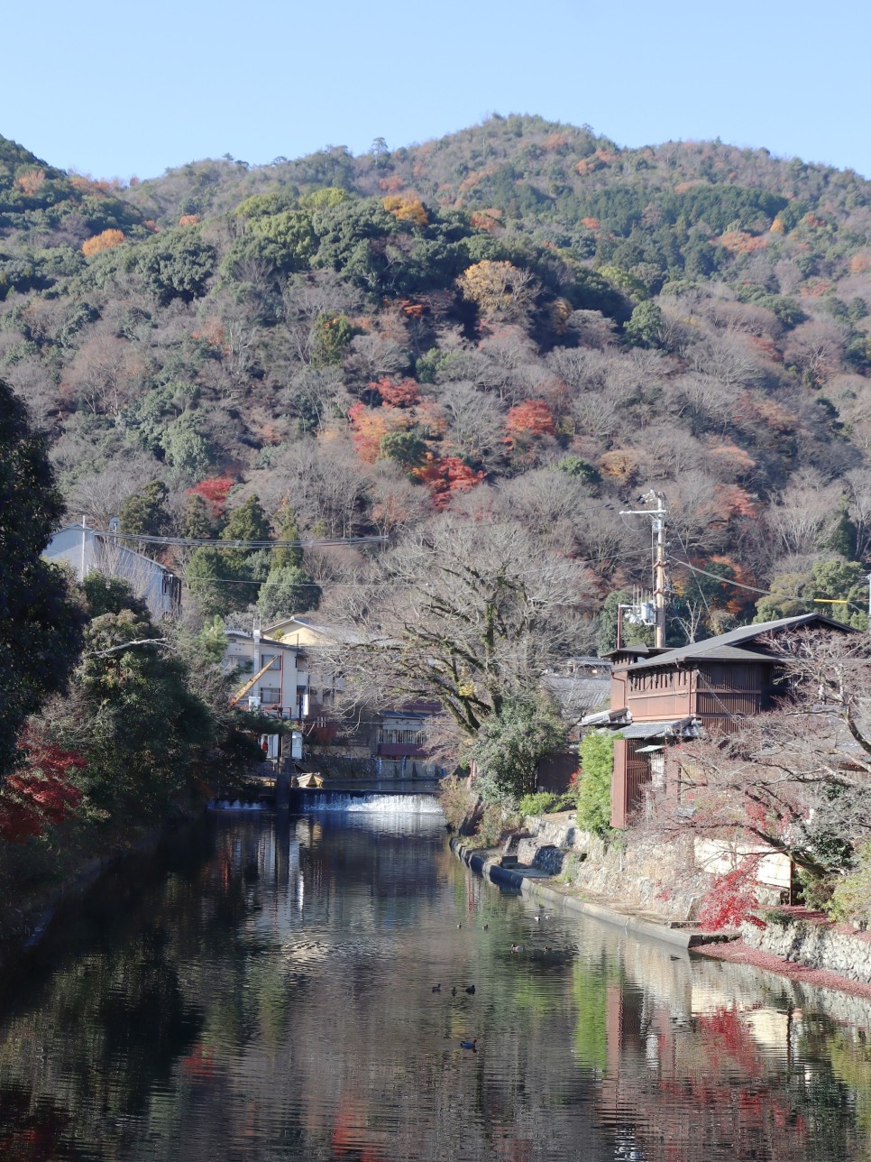 일본 자유여행 오사카 날씨 옷차림 여행자보험 챙기기