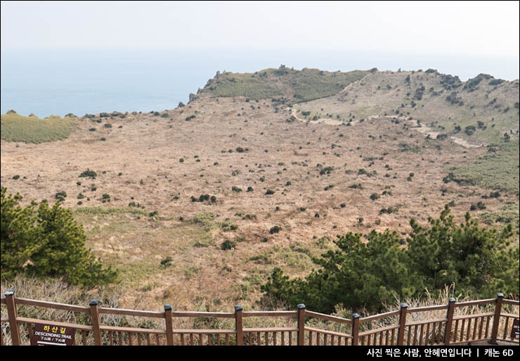 1월 겨울 제주 동쪽 가볼만한곳 제주도 볼거리 제주도 동쪽 코스