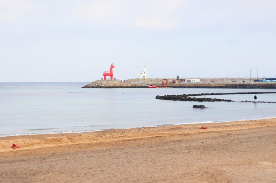 1월 제주도 가볼만한곳 제주시내 포함 제주 동쪽 서쪽 코스