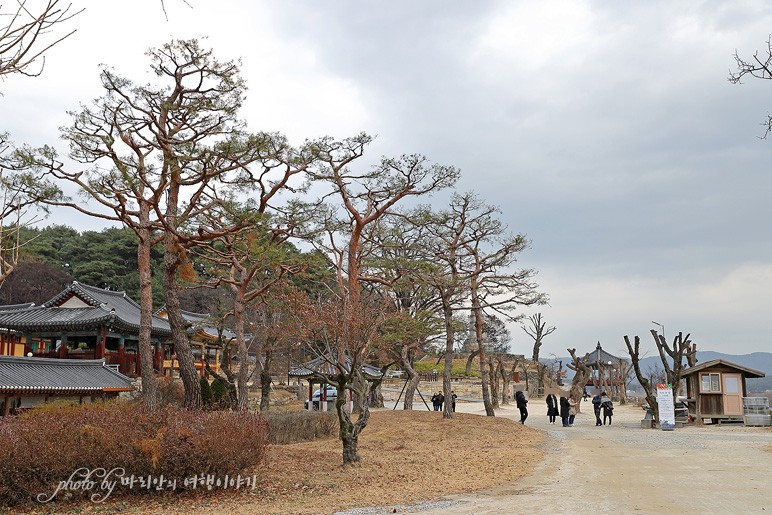 서울근교 여주 가볼만한곳 겨울 여행 여주 신륵사