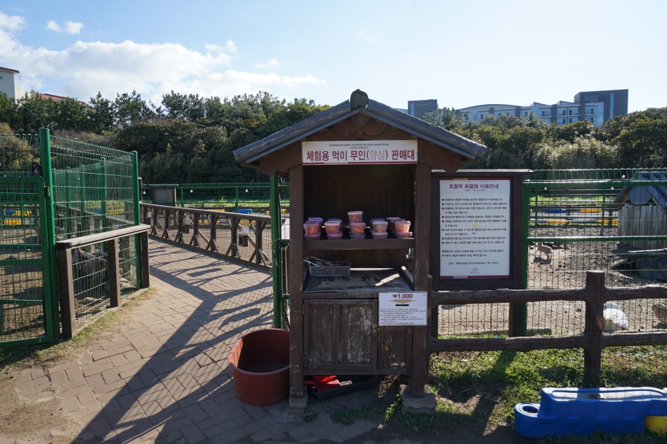 1박2일 제주도 서귀포 가볼만한곳 제주도 관광지 놀거리 제주도 체험 추천