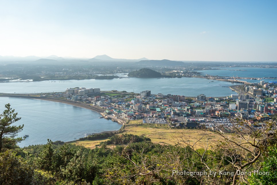 제주 동쪽 가볼만한곳 명소 제주도 동쪽 코스 비자림 성산일출봉 광치기해변 등