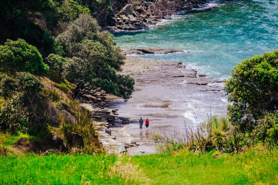 1월 해외여행지 해외 가족여행 추천 뉴질랜드 오클랜드 연말 풍경