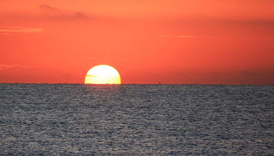 (신년 데스크칼럼) “왜, 나무와 싸움을 해야 하나..?”