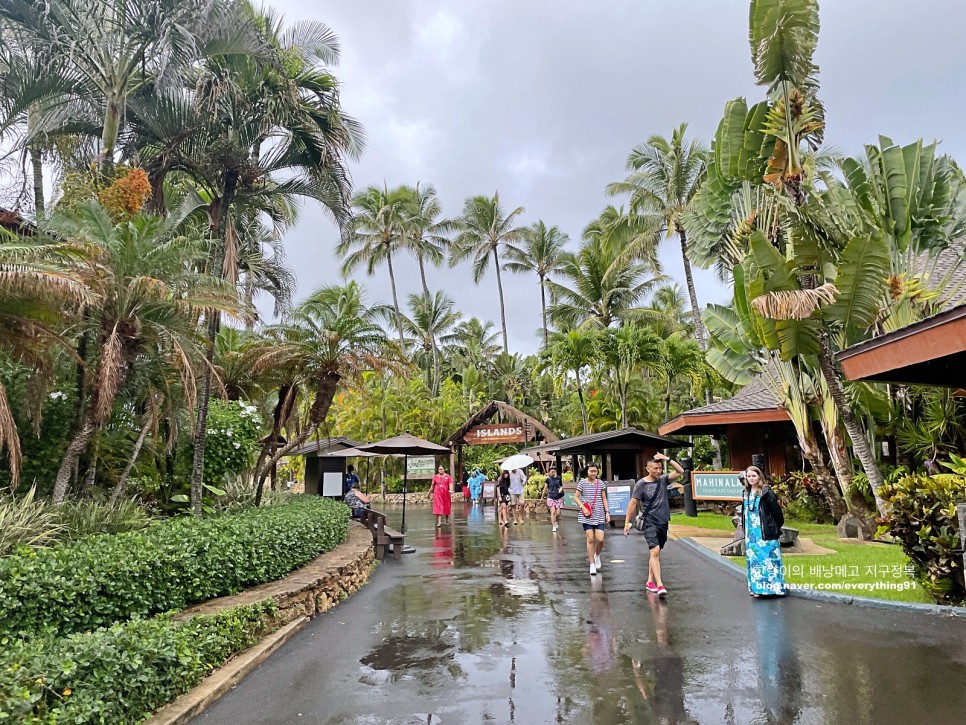 하와이 자유여행 아이랑 폴리네시안 문화센터 하와이안항공 프로모션