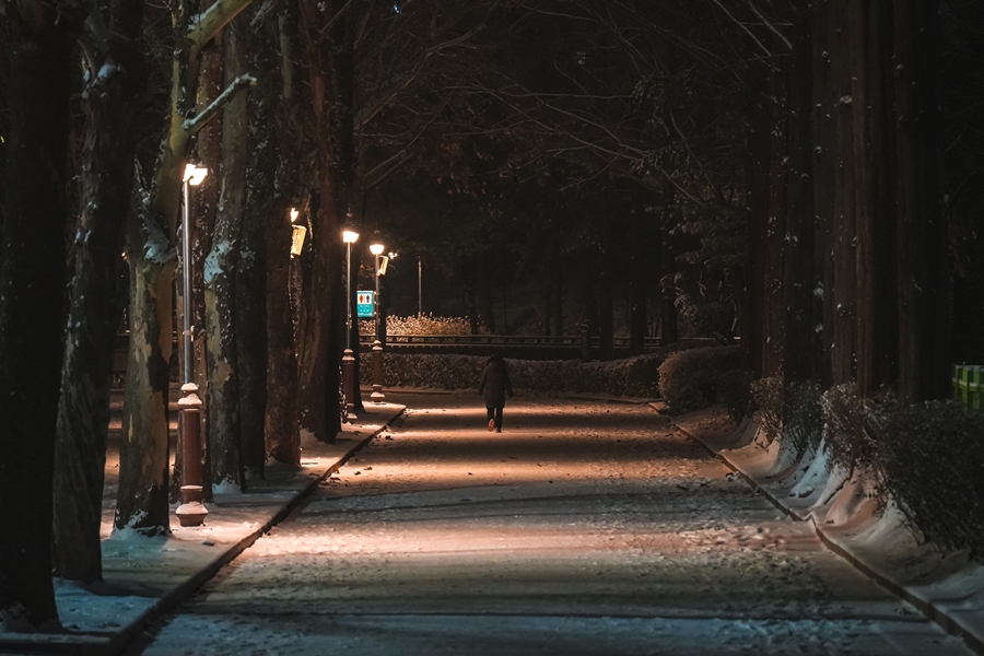 소니 A7M4 야간 저조도 테스트, 보라매공원 촬영 FE50mm F2.5G