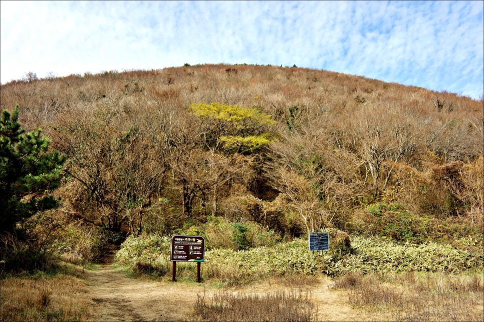 바리메오름 다음코스 제주 성산 숙소 푸른제주!