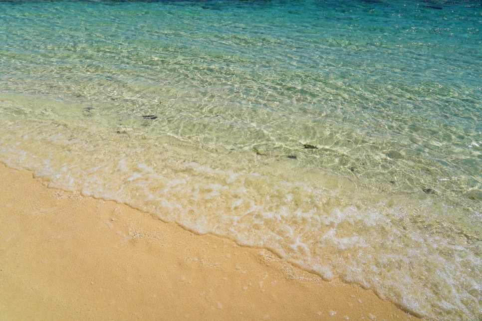 사이판 자유여행 마나가하섬 호핑투어 패러세일링 스노클링
