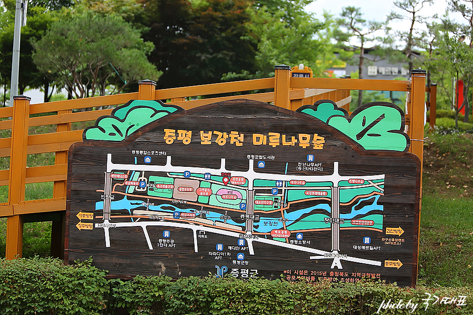 증평 여행 자전거공원 보강천미루나무숲 청주근교 드라이브