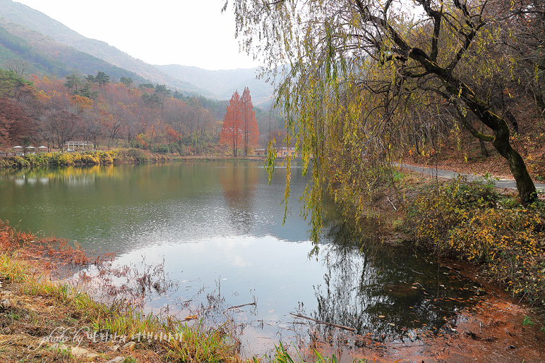 충남 여행지 공주 여행 송곡지 볼거리 공주 카페 엔학고레