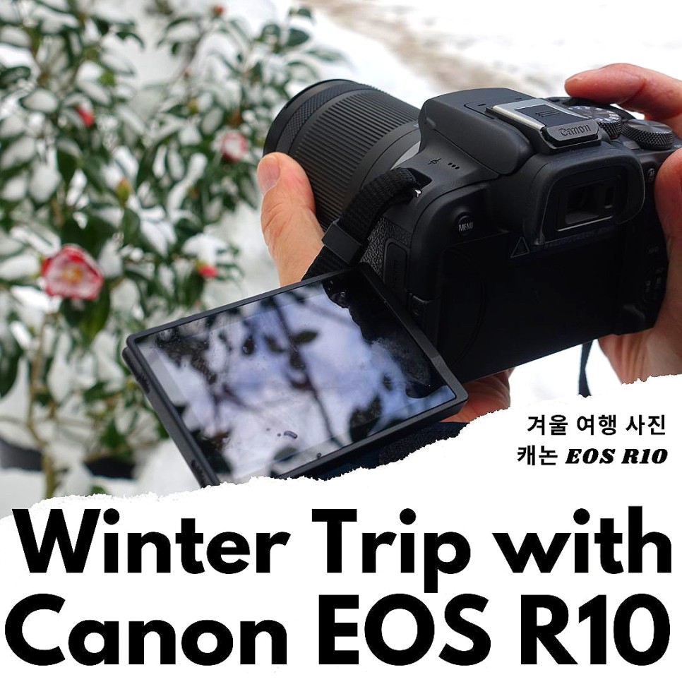 제주도 겨울 여행 브이로그 카메라 캐논 EOS R10 입문용 추천