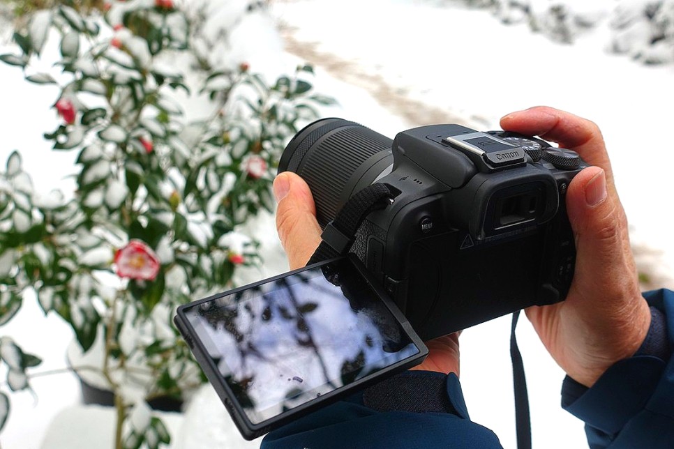 제주도 겨울 여행 브이로그 카메라 캐논 EOS R10 입문용 추천